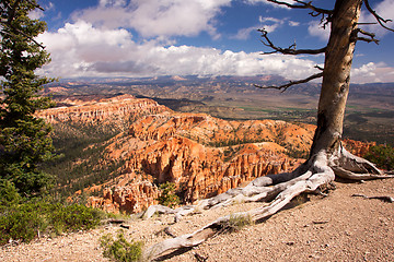 Image showing Bryce Canyon, Utah, USA