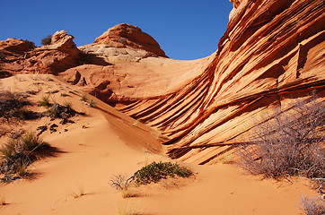 Image showing The Wave, Vermilion Cliffs National Monument, Arizona, USA