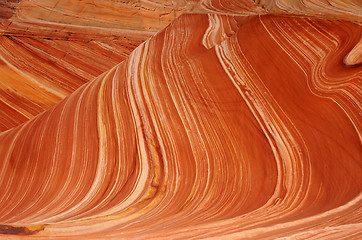 Image showing The Wave, Vermilion Cliffs National Monument, Arizona, USA