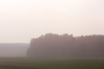 Image showing Nature in autumn season