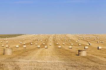 Image showing haystacks in a field of straw