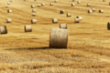 Image showing agriculture, not in focus