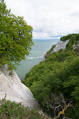 Image showing Kings Chair, Ruegen, Germany