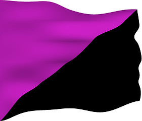 Image showing Anarchist Feminism Flag