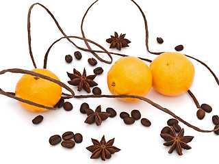Image showing Mandarines 
