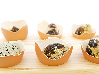 Image showing Quail Eggs