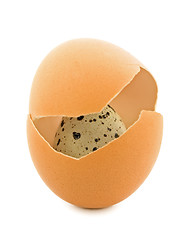 Image showing Quail Egg