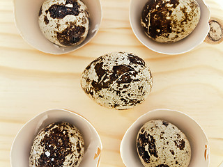 Image showing Quail Eggs