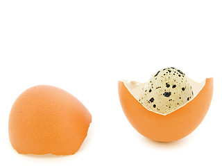 Image showing Quail Egg
