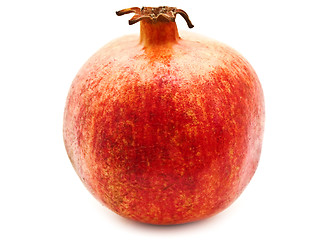 Image showing Red Pomegranate