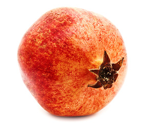 Image showing Red Pomegranate