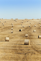 Image showing haystacks in a field of straw