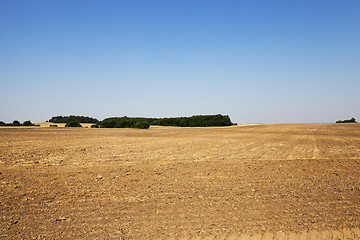 Image showing plowed agricultural field