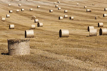 Image showing haystacks in a field of straw