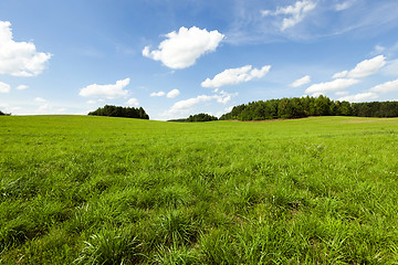 Image showing on agricultural field