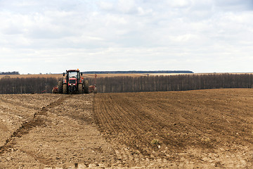 Image showing Planting of cereal crops