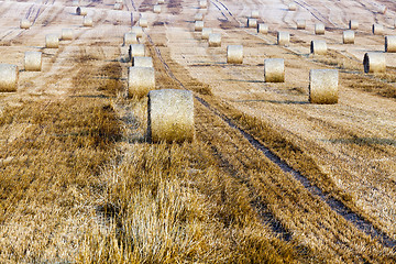 Image showing haystacks in a field of straw