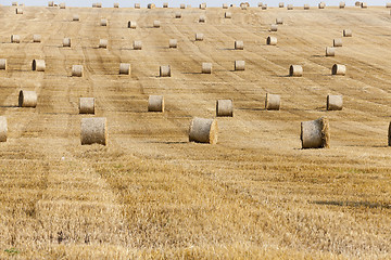 Image showing haystacks in a field of straw