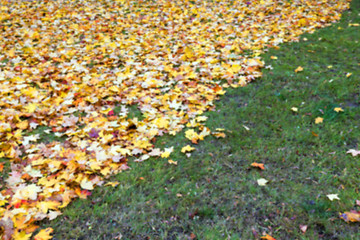 Image showing autumn in the park