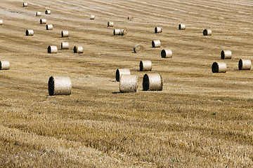 Image showing haystacks in a field of straw