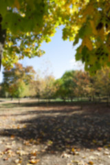 Image showing autumn in the park