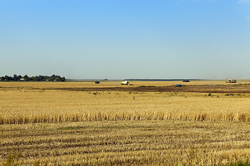 Image showing Photo agriculture, Europe