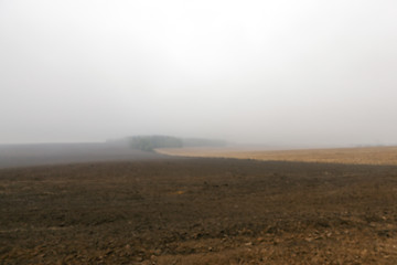 Image showing Nature in autumn season