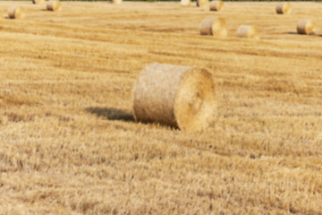 Image showing agriculture, not in focus