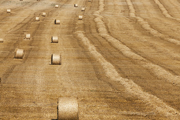 Image showing haystacks in a field of straw