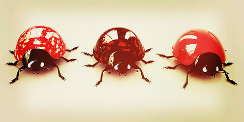 Image showing Ladybirds. 3D illustration. Vintage style.