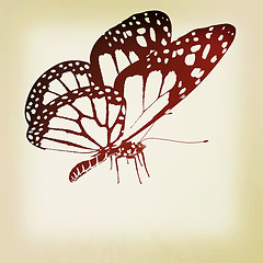 Image showing Black and white beautiful butterfly. High quality rendering. 3D 