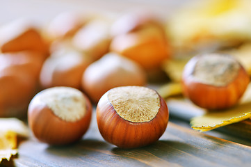 Image showing hazelnuts