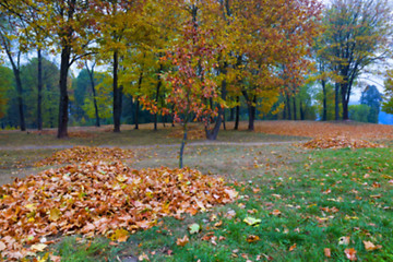 Image showing autumn in the park