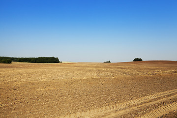 Image showing plowed land, summer