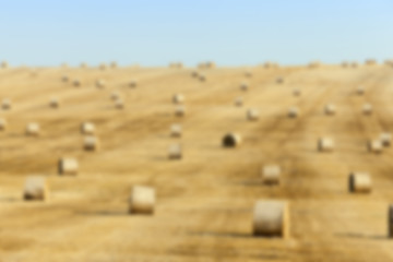 Image showing agriculture, not in focus