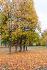 Image showing autumn in the park