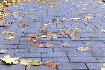 Image showing leaves on the sidewalk, autumn