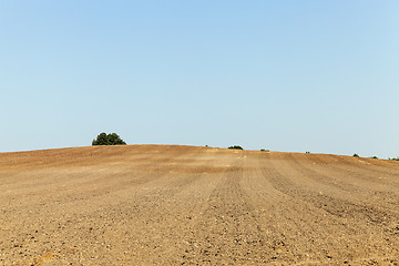 Image showing plowed land, summer