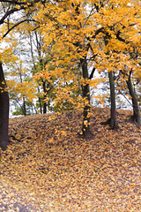 Image showing autumn in the park