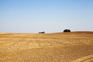 Image showing plowed land, summer