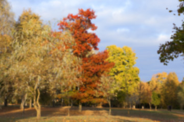 Image showing autumn in the park