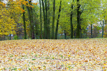 Image showing autumn in the park