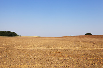 Image showing plowed land, summer