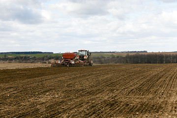 Image showing Planting of cereal crops