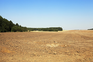 Image showing plowed agricultural field