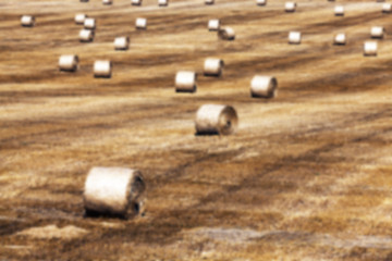 Image showing agriculture, not in focus