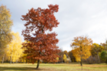 Image showing autumn in the park