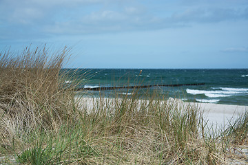 Image showing Groyne in Zingst, Darss, Germany