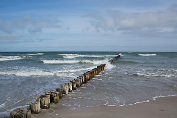 Image showing Groyne in Zingst, Darss, Germany