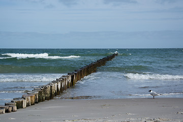 Image showing Groyne in Zingst, Darss, Germany